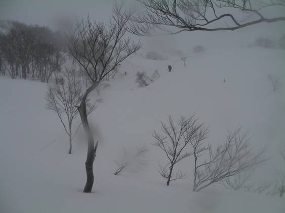 C:\Users\����\Desktop\Picture temp\SANY0032.JPG