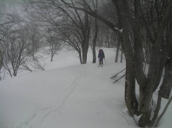 C:\Users\����\Desktop\Picture temp\SANY0038.JPG