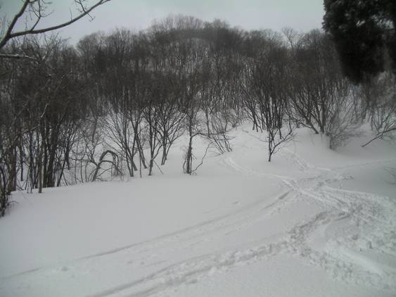 C:\Users\����\Desktop\Picture temp\SANY0043.JPG