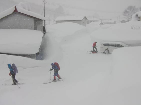 C:\Users\����\Desktop\Picture temp\SANY0062.JPG