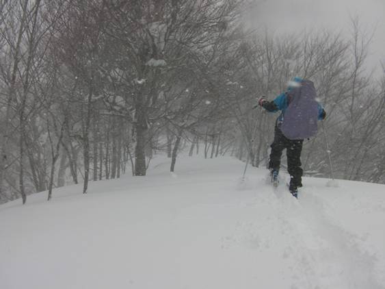 C:\Users\����\Desktop\Picture temp\SANY0066.JPG