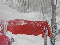 C:\Users\����\Desktop\Picture temp\SANY0070.JPG