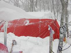 C:\Users\����\Desktop\Picture temp\SANY0071.JPG