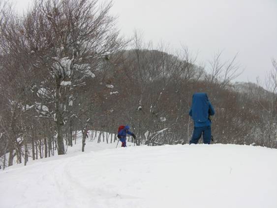 C:\Users\����\Desktop\Picture temp\SANY0075.JPG