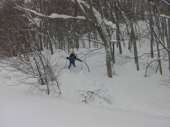 C:\Users\����\Desktop\Picture temp\SANY0086.JPG