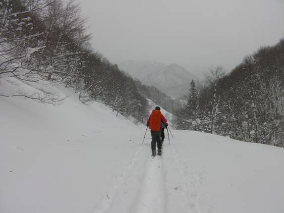 C:\Users\����\Desktop\Picture temp\SANY0089.JPG