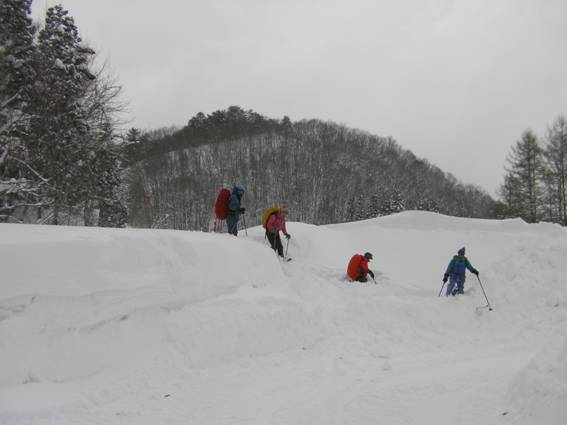 C:\Users\����\Desktop\Picture temp\SANY0092.JPG